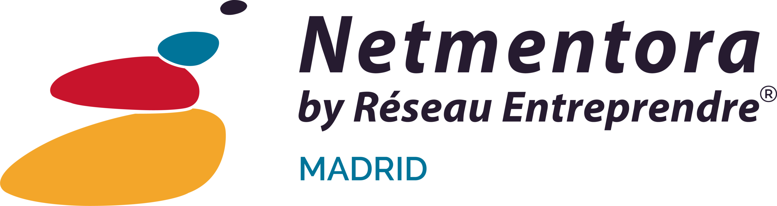 Netmentora Madrid
